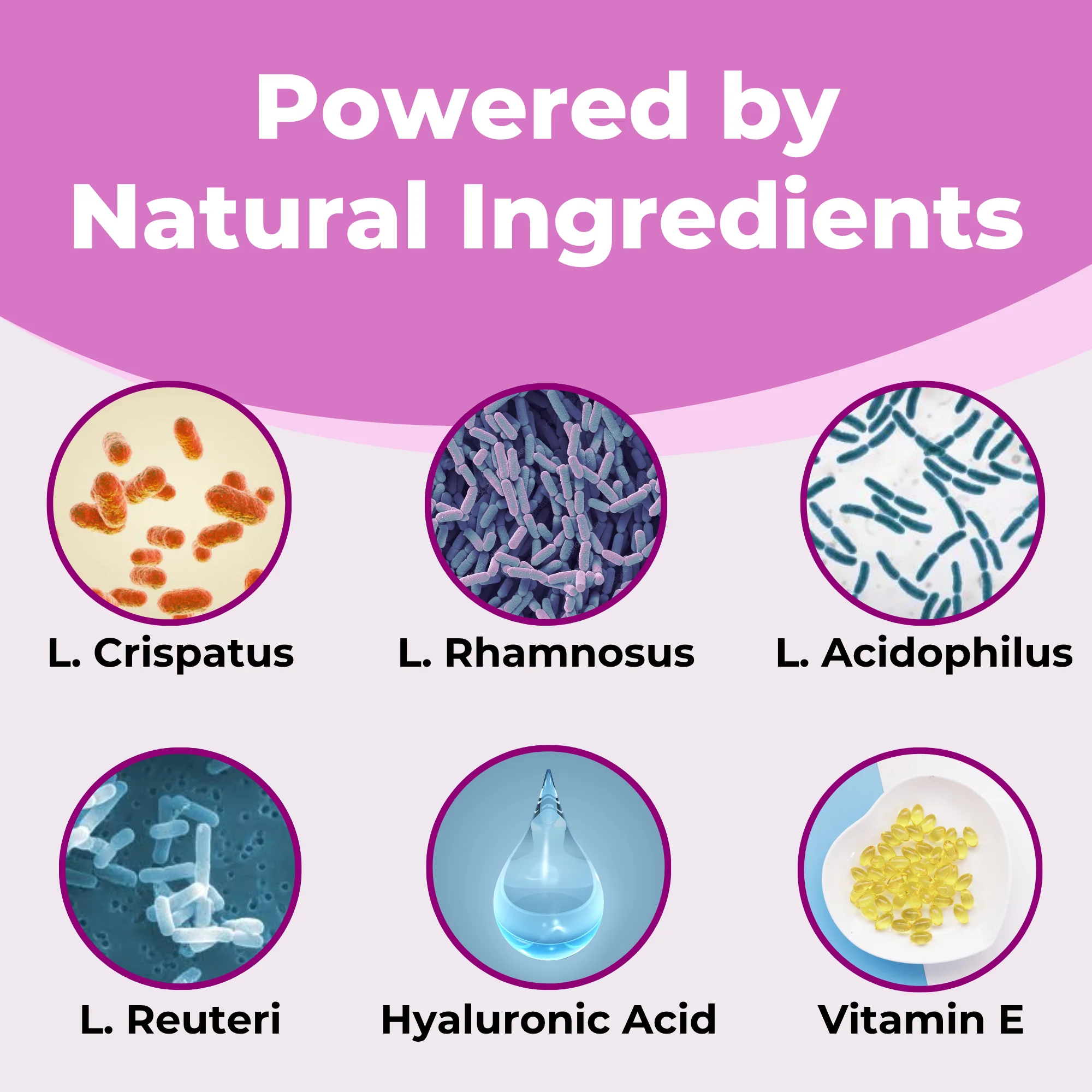 Daily Vaginal Probiotic - Image 8